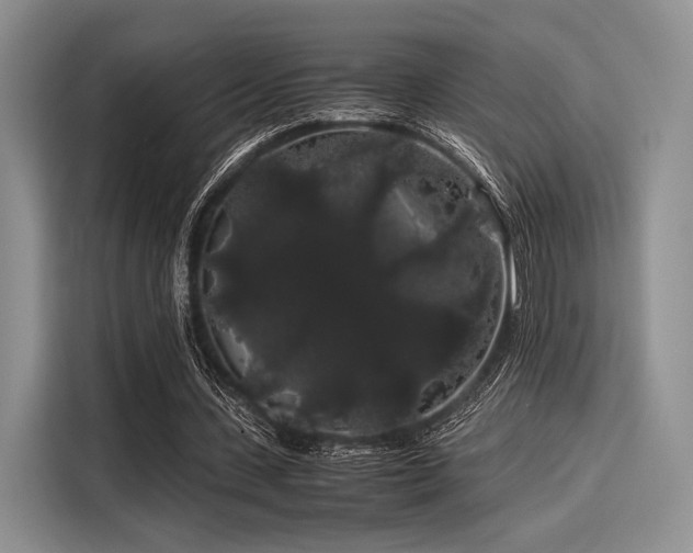 X0000116120531200911301329