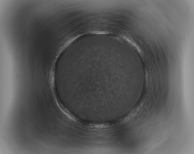 X0000116120533200911301329