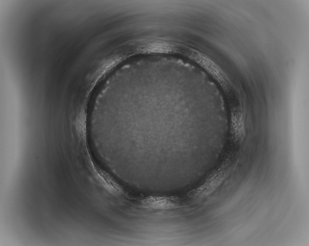 X0000116120534200911301329