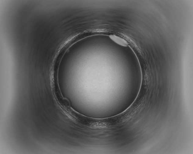 X0000116120535200911301329