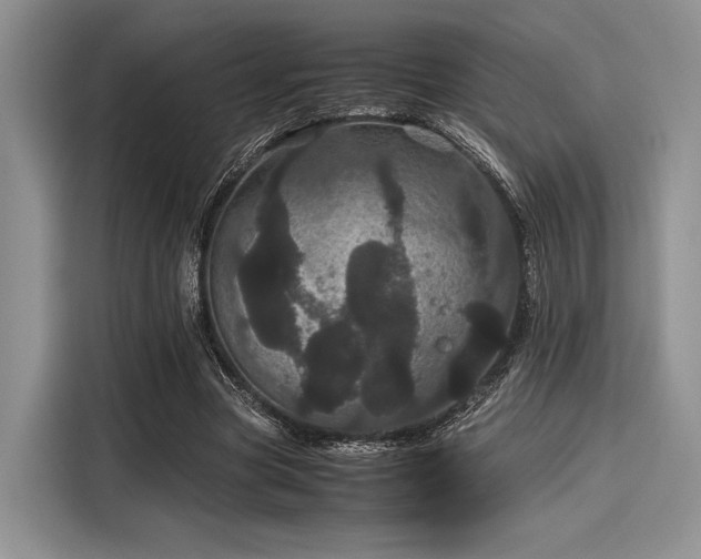 X0000116120537200911301329