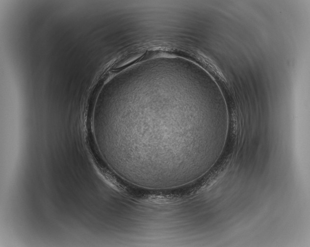 X0000116120538200911301329