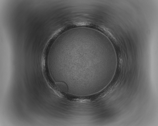 X0000116120539200911301329