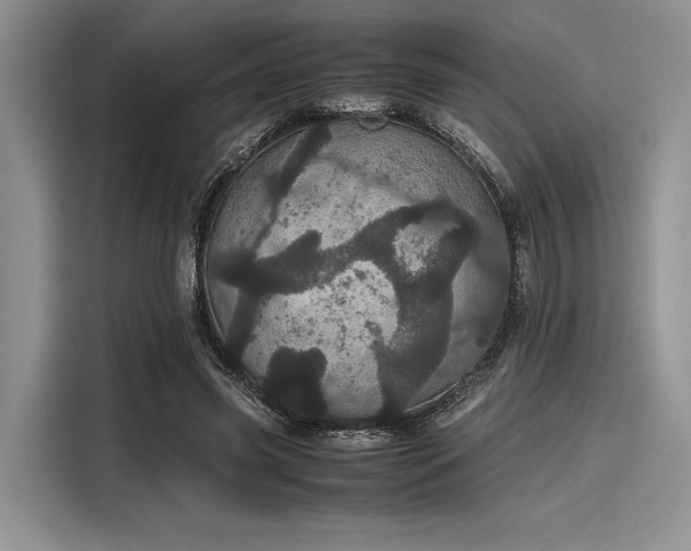 X0000116120541200911301329