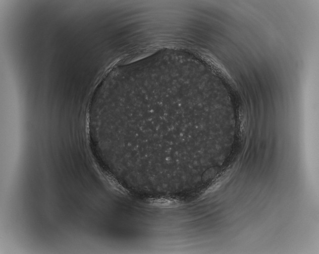 X0000116120542200911301329