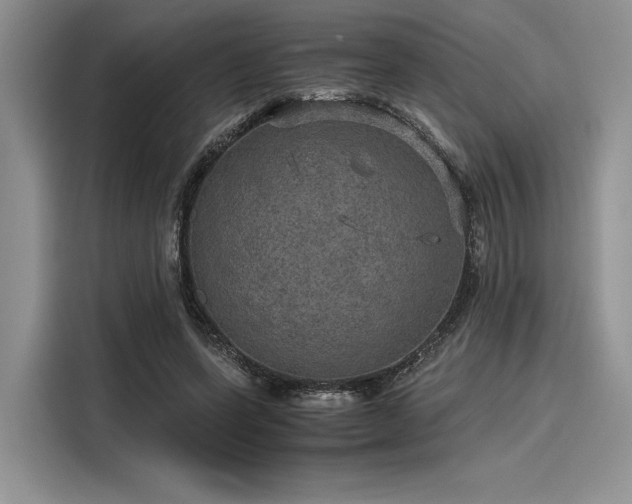 X0000116120543200911301329