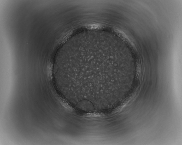 X0000116120545200911301329