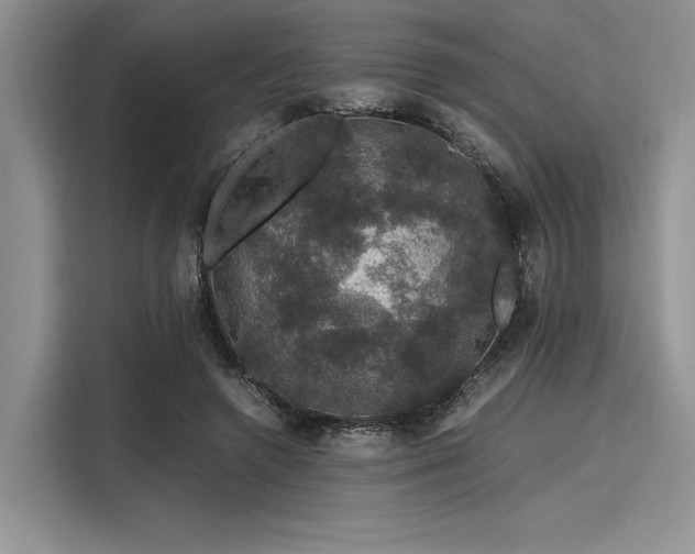 X0000116120546200911301329