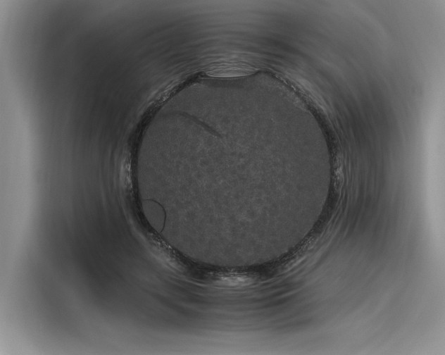 X0000116120547200911301329