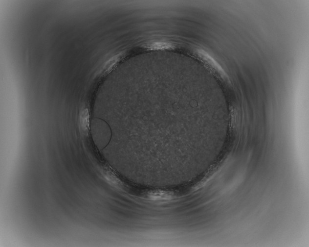 X0000116120549200911301329