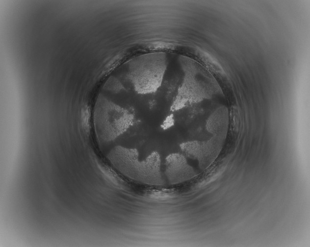 X0000116120550200911301329