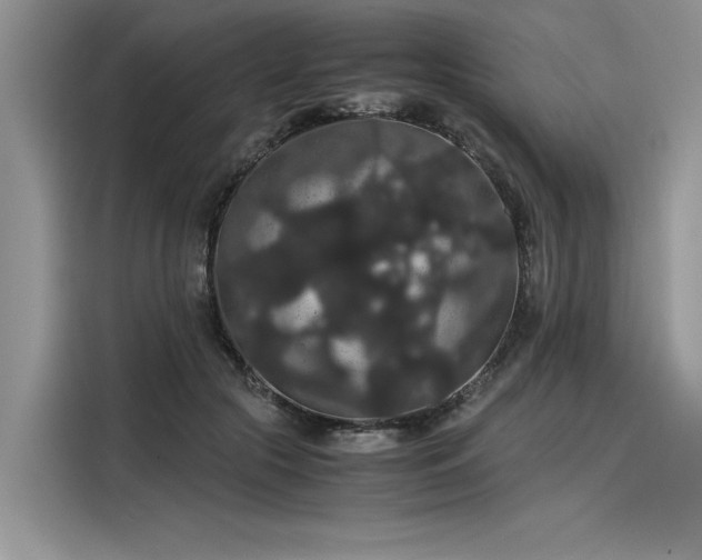 X0000116120553200911301329