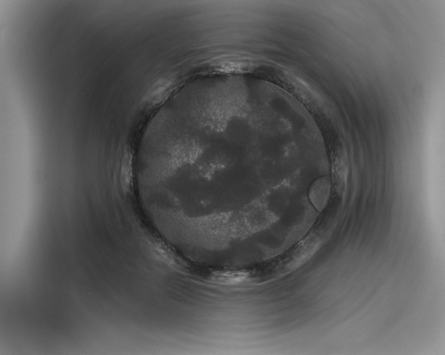 X0000116120554200911301329