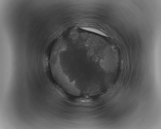 X0000116120555200911301329