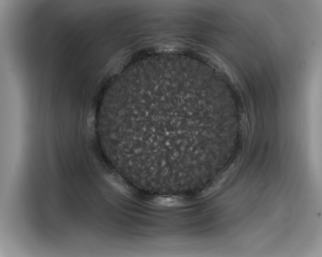 X0000116120557200911301329