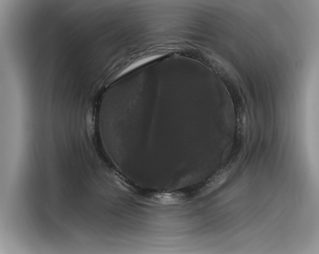 X0000116120558200911301329