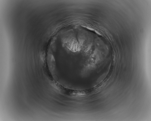 X0000116120559200911301329