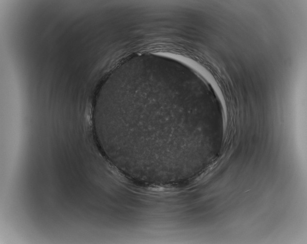 X0000116120561200911301329