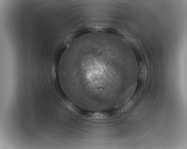 X0000116120562200911301329