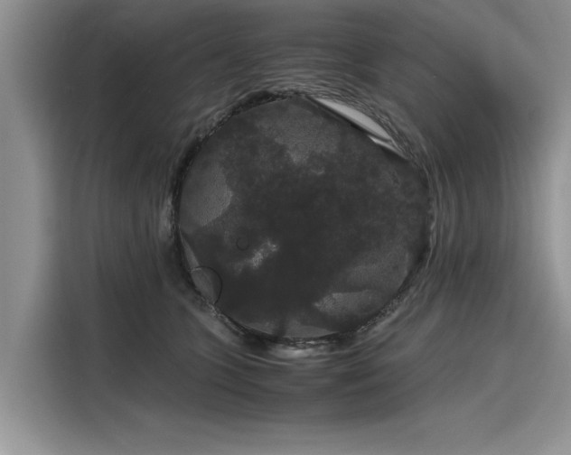 X0000116120563200911301329