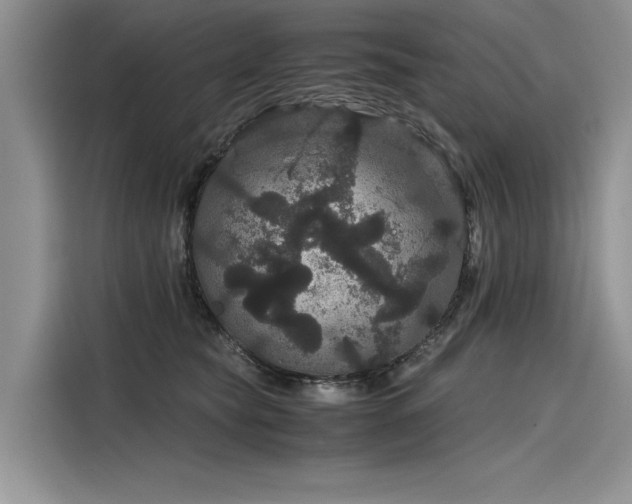 X0000116120565200911301329