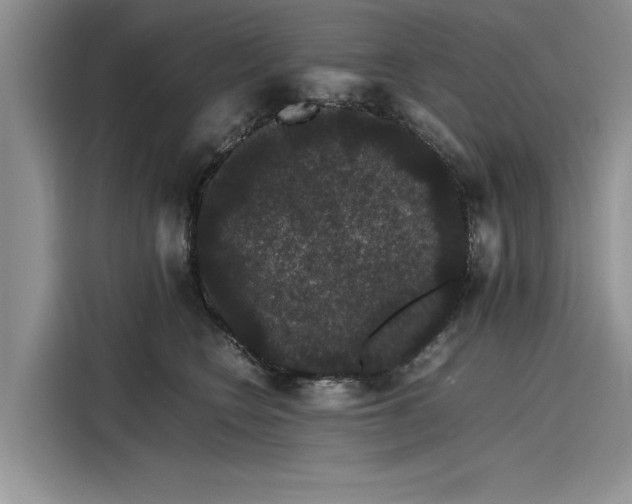 X0000116120566200911301329