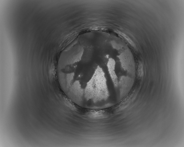 X0000116120569200911301329