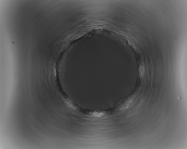 X0000116120570200911301329