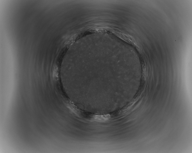 X0000116120571200911301329