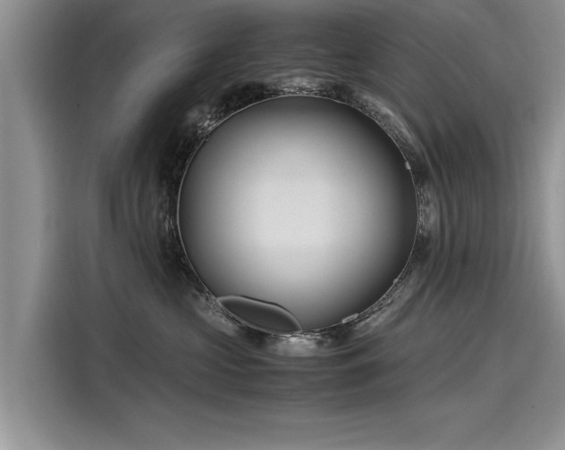 X0000116120573200911301329