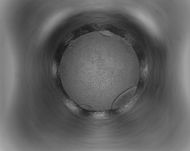 X0000116120574200911301329