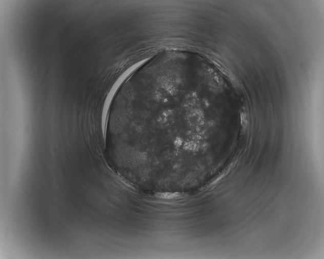 X0000116120575200911301329