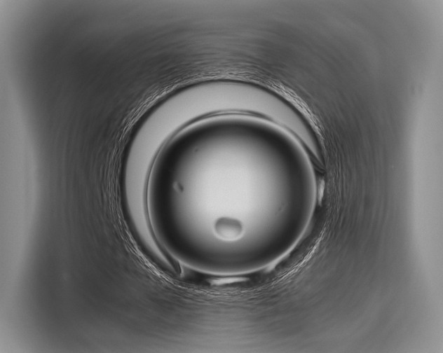 X0000116120577200911301329