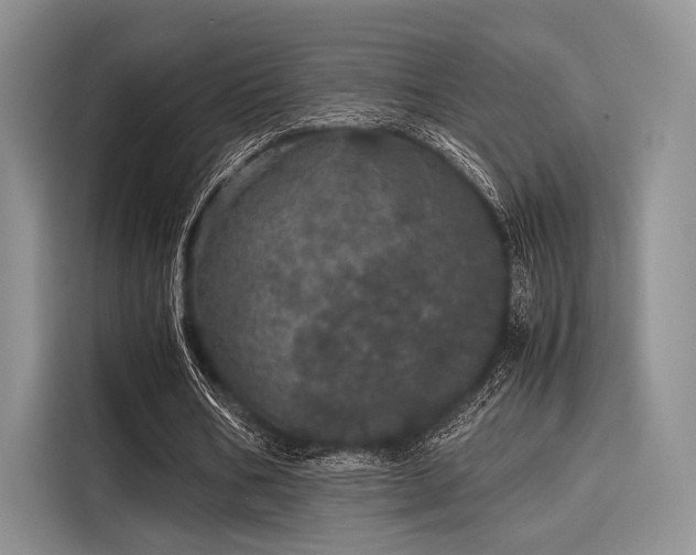 X0000116120578200911301329