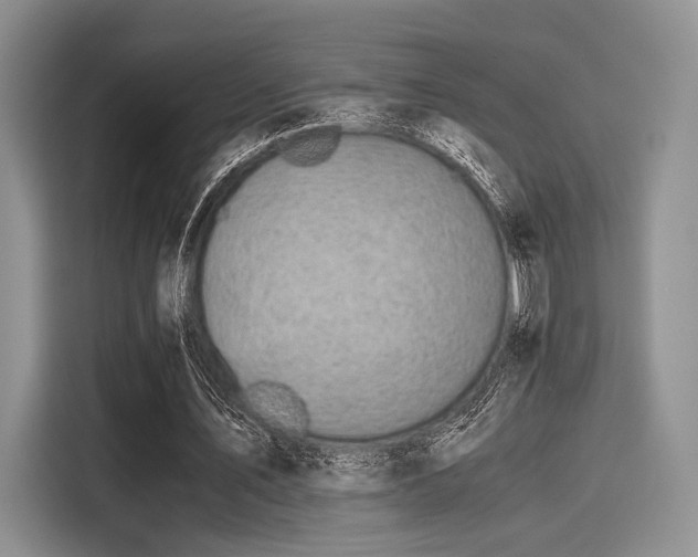 X0000116120579200911301329