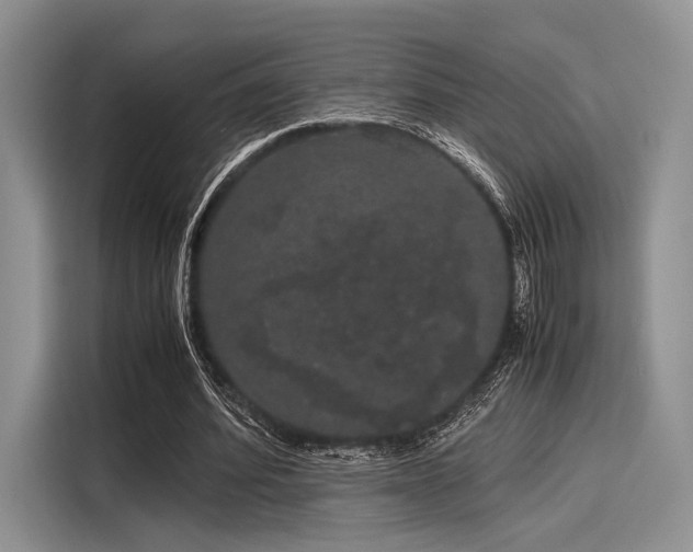 X0000116120580200911301329