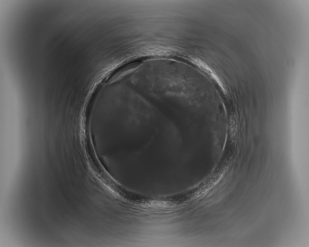 X0000116120581200911301329