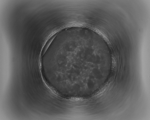 X0000116120582200911301329