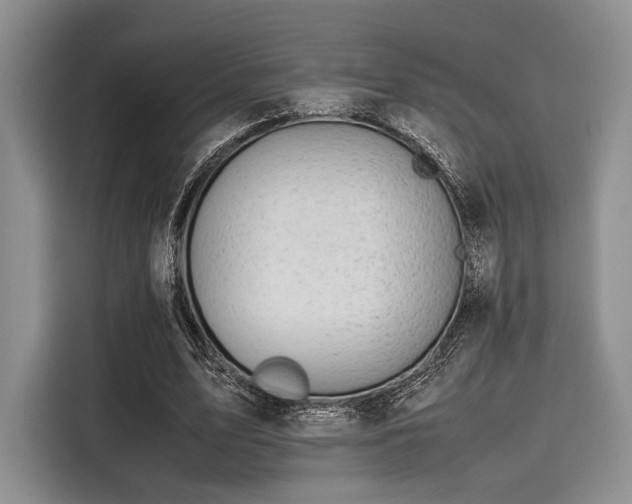 X0000116120583200911301329