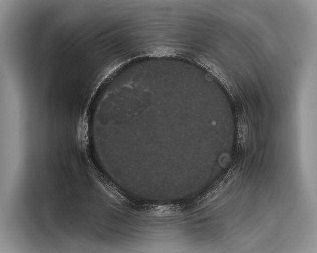 X0000116120584200911301329