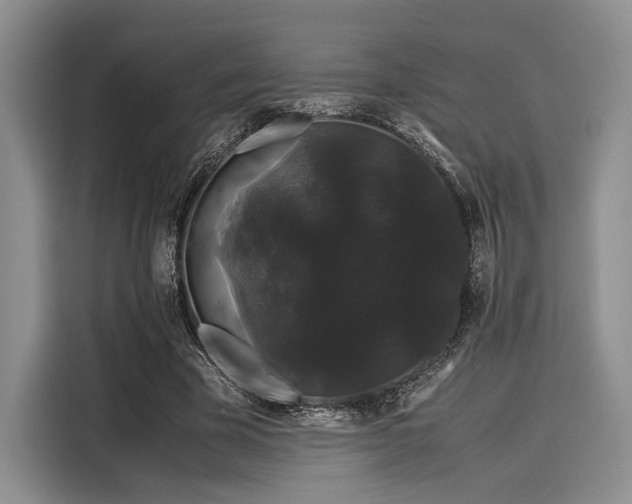 X0000116120585200911301329