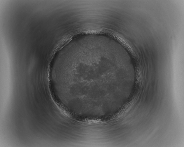 X0000116120586200911301329