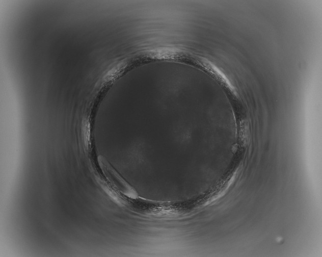 X0000116120589200911301329