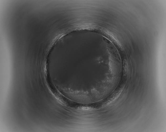 X0000116120590200911301329