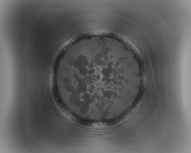 X0000116120591200911301328