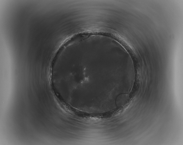 X0000116120592200911301328