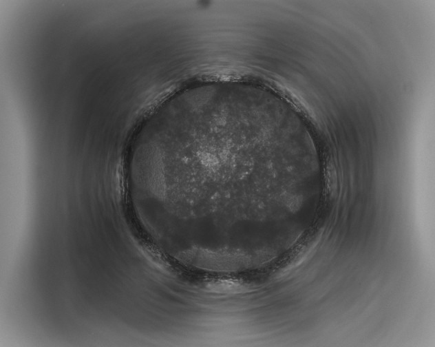 X0000116120594200911301328