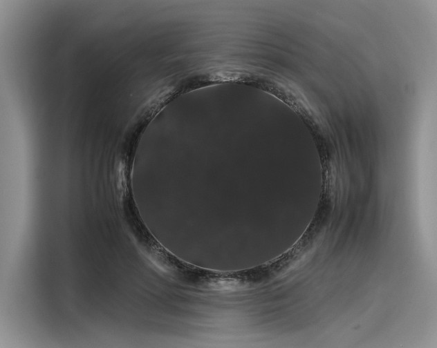 X0000116120598200911301328