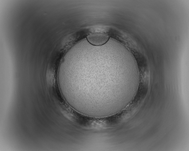 X0000116120599200911301328