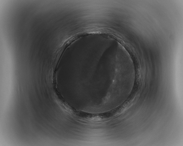 X0000116120600200911301328